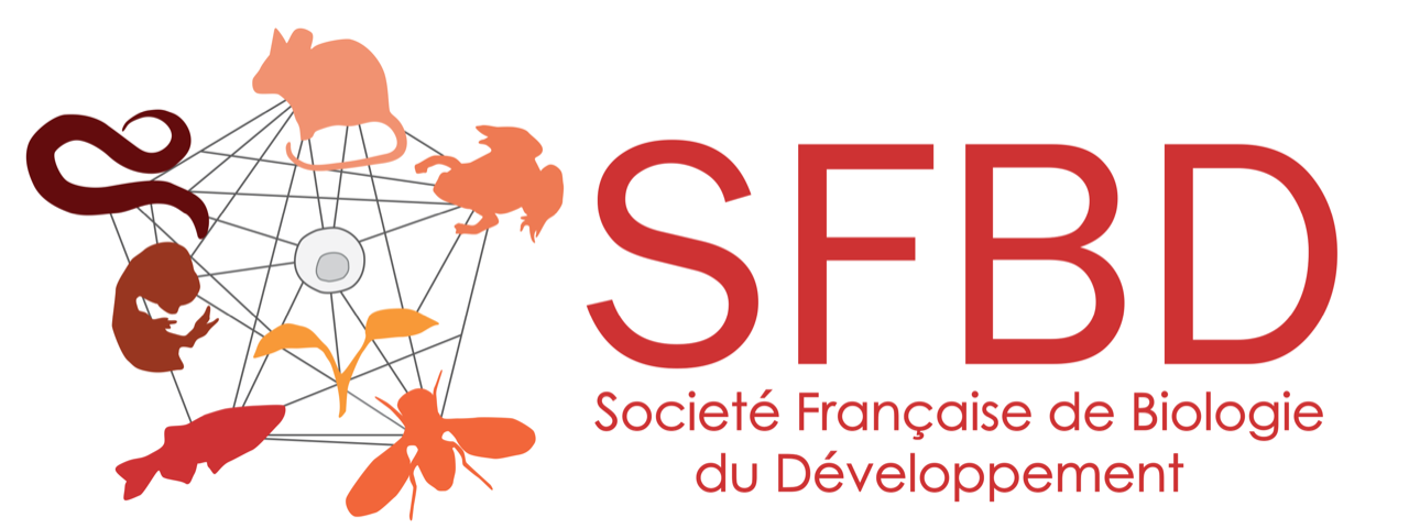 Logo SFBD